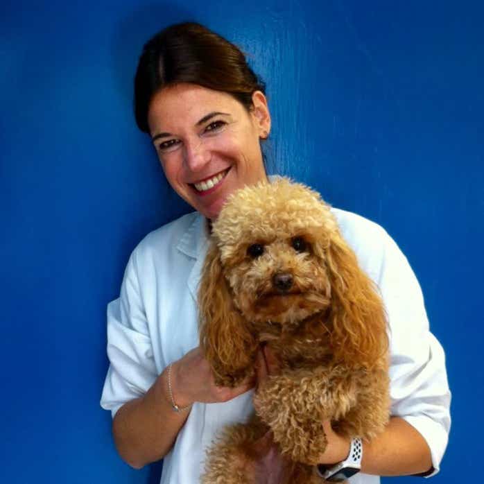 Veterinaria con un perro caniche marrón en brazos en la clínica veterinaria El Jardín.