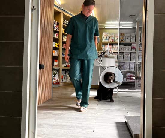 Veterinaria junto con un perro tras la colocación de un collar isabelino en la clínica veterinaria El Jardín.